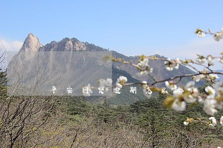 平安网贷逾期怎么办 平安网贷逾期怎么办