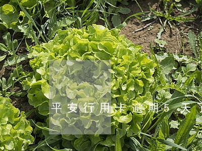 平安行用卡逾期5天了 平安行用卡逾期5天了