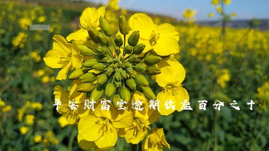 平安财富宝逾期收益百分之十 平安财富宝逾期收益百分之十