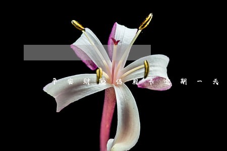 平安财险信用卡逾期一天 平安财险信用卡逾期一天