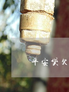 平安贷欠4000逾期3年