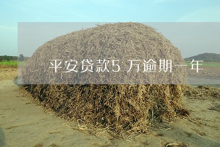平安贷款5万逾期一年 平安贷款5万逾期一年