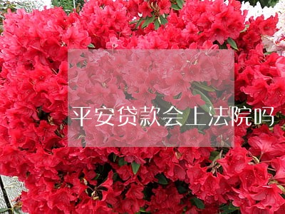 平安贷款会上法院吗 平安贷款会上法院吗