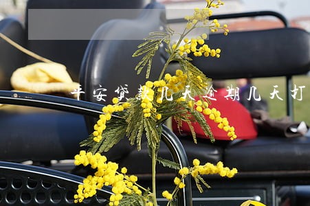 平安贷款几天逾期几天打电话 平安贷款几天逾期几天打电话