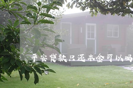 平安贷款只还本金可以吗