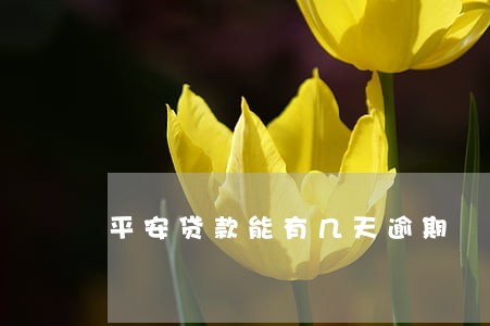 平安贷款能有几天逾期