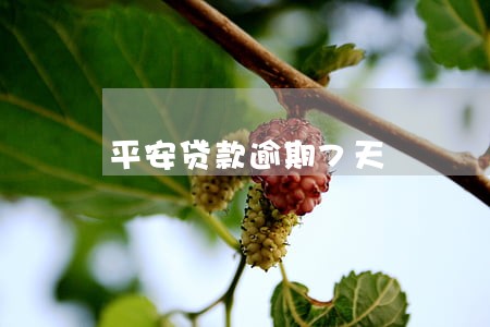 平安贷款逾期7天