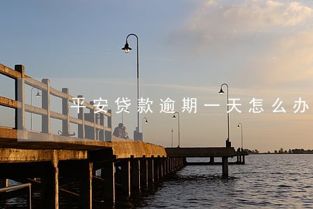 平安贷款逾期一天怎么办 平安贷款逾期一天怎么办