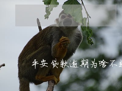 平安贷款逾期为啥不起诉 平安贷款逾期为啥不起诉