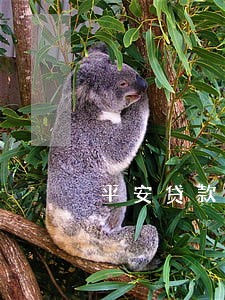 平安贷款逾期会发到单位吗 平安贷款逾期会发到单位吗