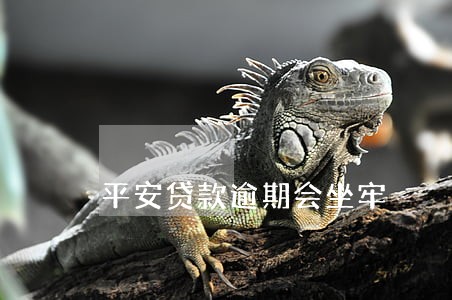 平安贷款逾期会坐牢 平安贷款逾期会坐牢