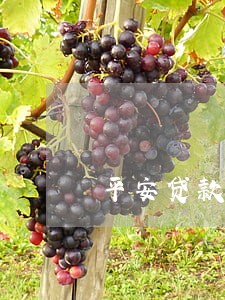 平安贷款逾期处理方案 平安贷款逾期处理方案