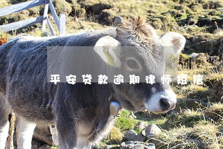 平安贷款逾期律师短信