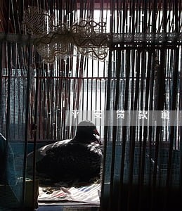 平安贷款逾期怎么办理 平安贷款逾期怎么办理