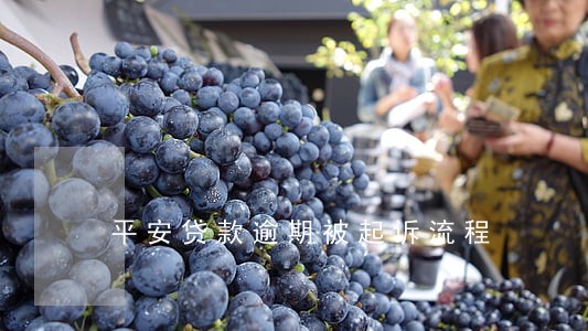 平安贷款逾期被起诉流程 平安贷款逾期被起诉流程
