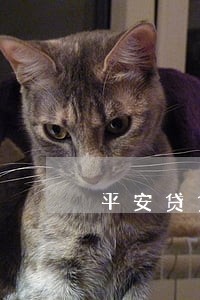 平安贷贷卡只还本金 平安贷贷卡只还本金