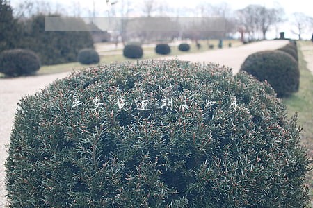 平安贷逾期2个月 平安贷逾期2个月