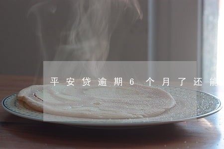平安贷逾期6个月了还能还吗 平安贷逾期6个月了还能还吗