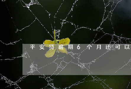 平安贷逾期6个月还可以恢复吗 平安贷逾期6个月还可以恢复吗