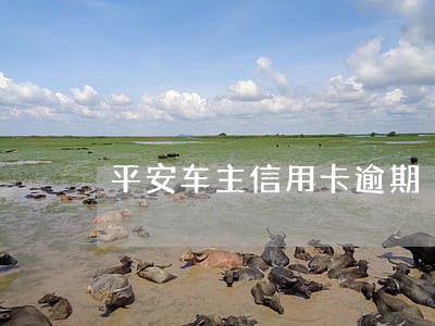 平安车主信用卡逾期 平安车主信用卡逾期