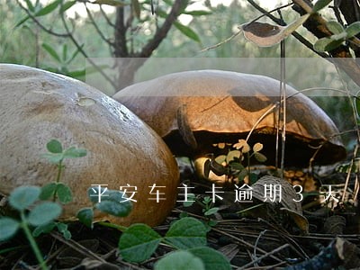 平安车主卡逾期3天 平安车主卡逾期3天