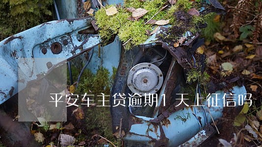 平安车主贷逾期1天上征信吗 平安车主贷逾期1天上征信吗