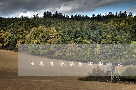 平安车抵贷款逾期八天 平安车抵贷款逾期八天