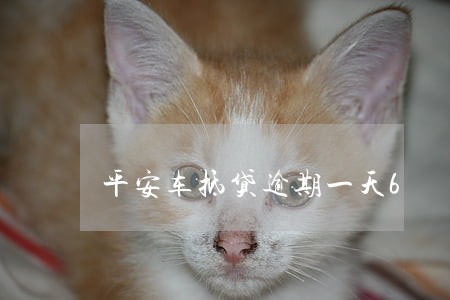 平安车抵贷逾期一天6