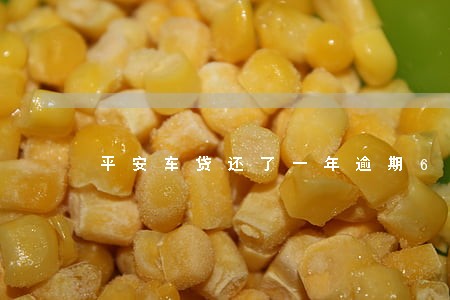 平安车贷还了一年逾期6个月了 平安车贷还了一年逾期6个月了