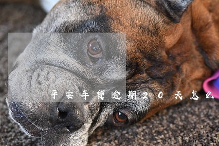平安车贷逾期20天怎么办 平安车贷逾期20天怎么办