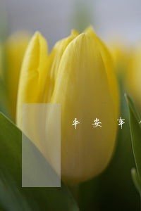 平安车贷逾期3天怎么办 平安车贷逾期3天怎么办