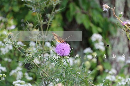 平安车贷逾期3天有影响吗 平安车贷逾期3天有影响吗