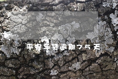 平安车贷逾期75天 平安车贷逾期75天
