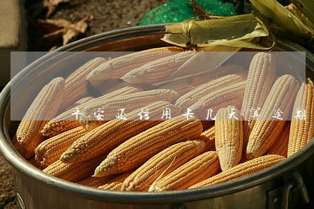 平安还信用卡几天算逾期 平安还信用卡几天算逾期