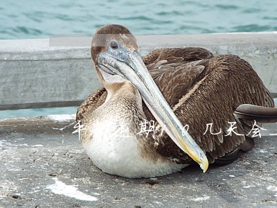 平安逾期10几天会上门 平安逾期10几天会上门
