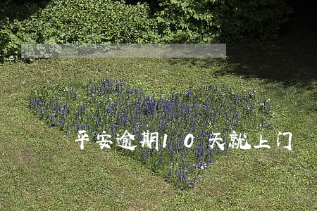 平安逾期10天就上门 平安逾期10天就上门