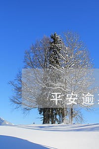平安逾期1星期 平安逾期1星期