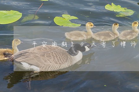 平安逾期20天寄了律师函 平安逾期20天寄了律师函