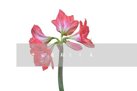 平安逾期25天 平安逾期25天