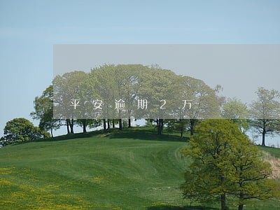 平安逾期2万 平安逾期2万