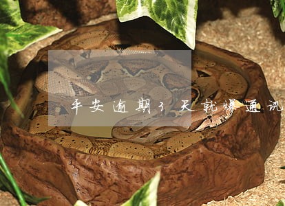 平安逾期3天就爆通讯录吗 平安逾期3天就爆通讯录吗
