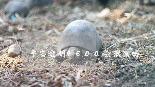 平安逾期4600会报案吗 平安逾期4600会报案吗