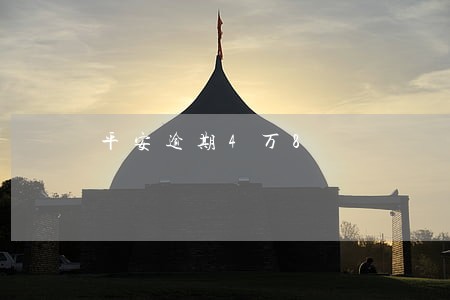 平安逾期4万8 平安逾期4万8