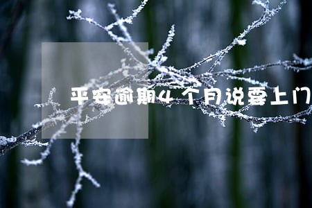 平安逾期4个月说要上门 平安逾期4个月说要上门