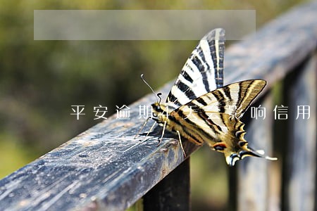 平安逾期4天会影响信用吗
