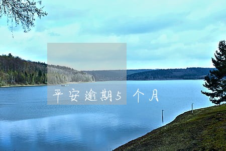 平安逾期5个月 平安逾期5个月