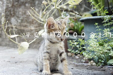 平安逾期6000会上门家访吗 平安逾期6000会上门家访吗