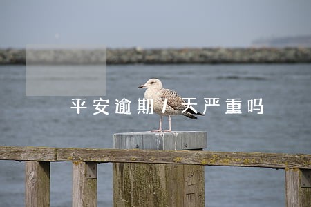 平安逾期7天严重吗 平安逾期7天严重吗