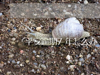 平安逾期7年怎么办 平安逾期7年怎么办