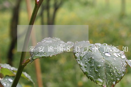 平安逾期80天代偿后如何协商 平安逾期80天代偿后如何协商